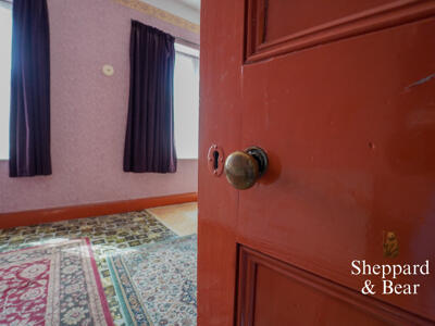Picture 8